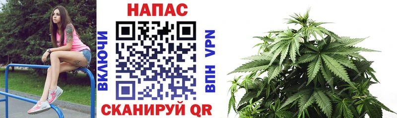 даркнет официальный сайт  блэк спрут зеркало  Шишки марихуана сатива  Исилькуль  продажа наркотиков 